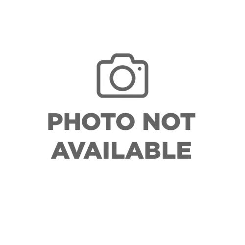 Shih Tzu 4497 Girl
